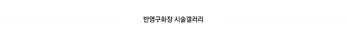 시술갤러리